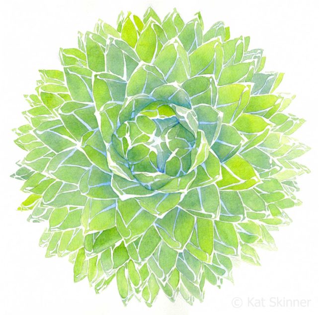 Abstract Queen Victora Agave Succulent Watercolor Painting by Kat Skinner