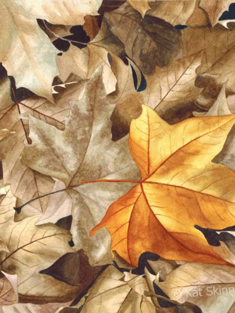 Parallax Header of Autumn Leaves Series 2 by Kat Skinner