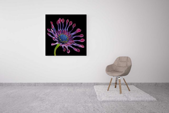 Cape Daisy Pastel Artwork, in Sitting Room, by Kat Skinner