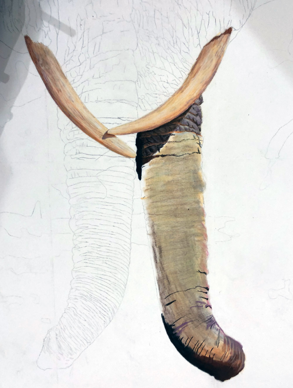 Work In Progress Photo of Elephant Commission, by Kat Skinner