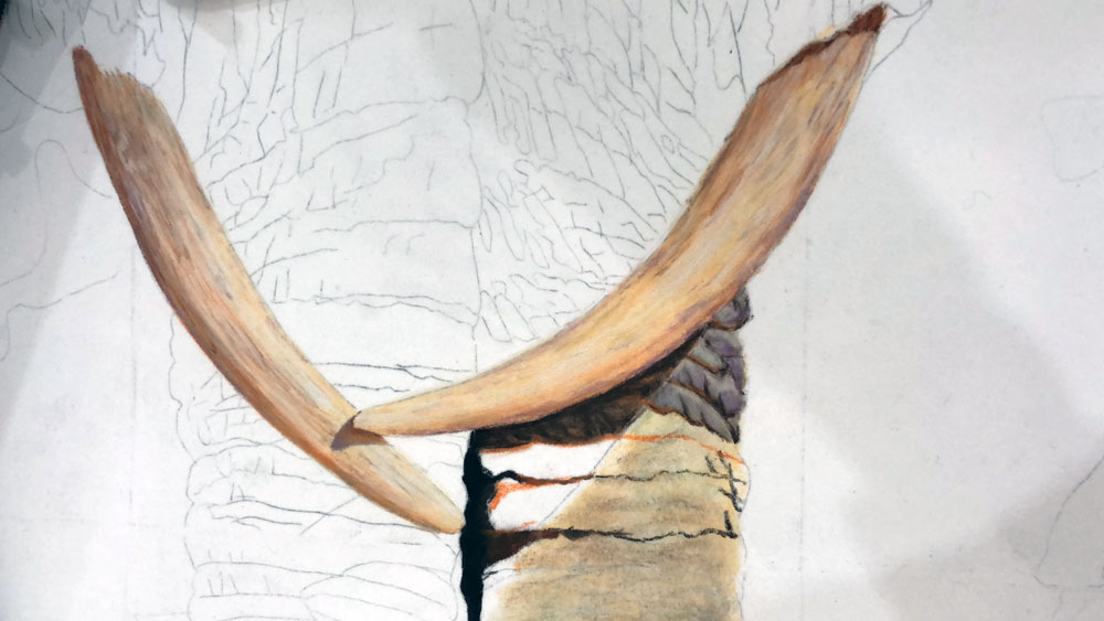 Work In Progress Photo of Elephant Commission, by Kat Skinner