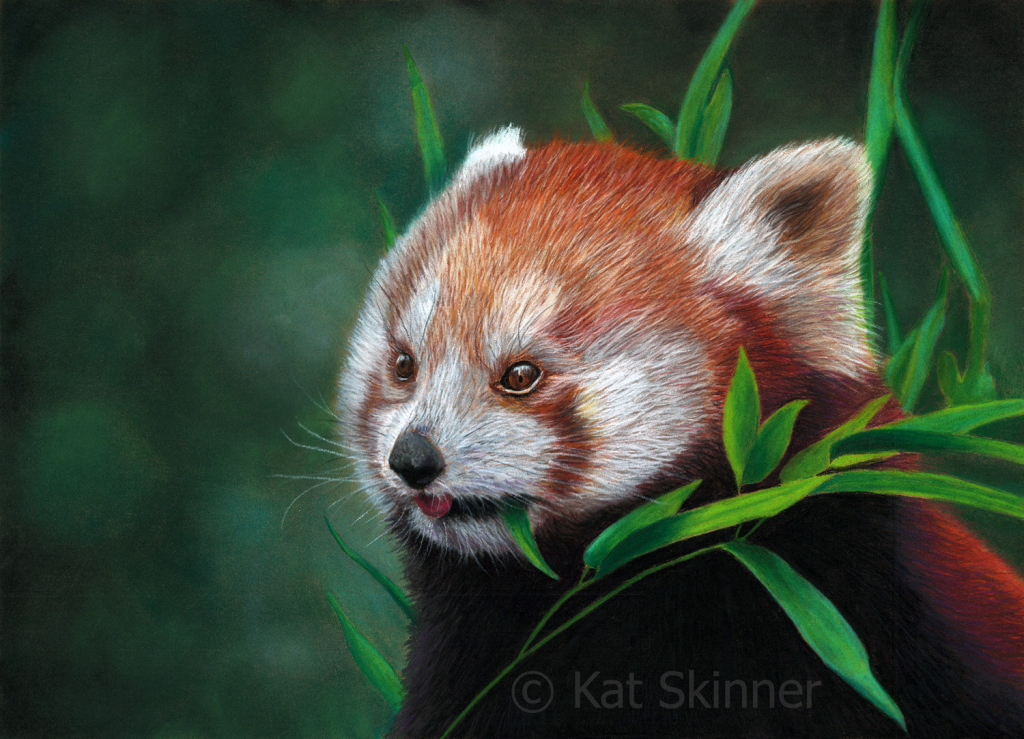 Red Panda Painting by Kat Skinner